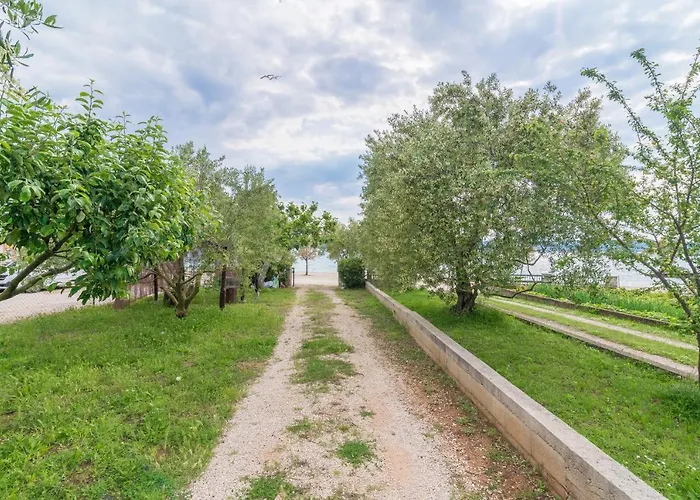 Apartament Bepina *