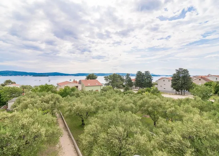 Bepina * Biograd Na Moru