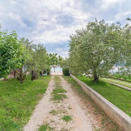 Apartman Bepina *